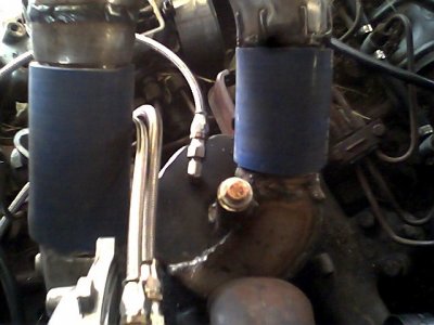 IMG0174.JPG