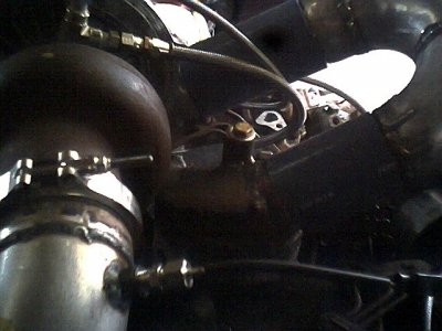 IMG0179.JPG