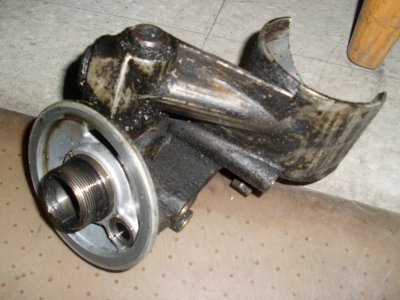 SL372119.JPG