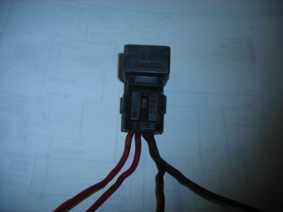 DSCN3401.JPG