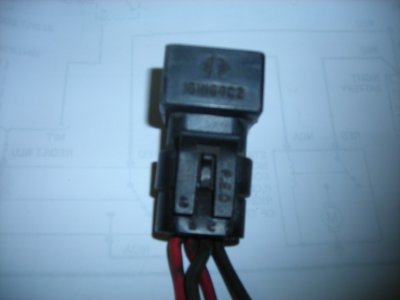 DSCN3404.JPG