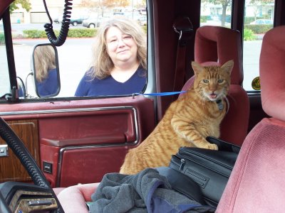 Jazzie's Vet Trip 003.jpg