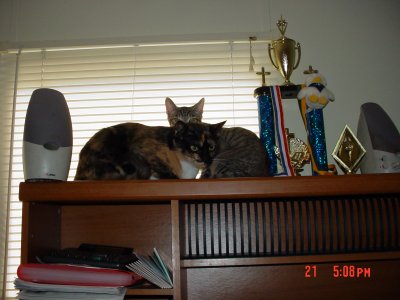 various 099.jpg