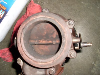 SL372524.JPG