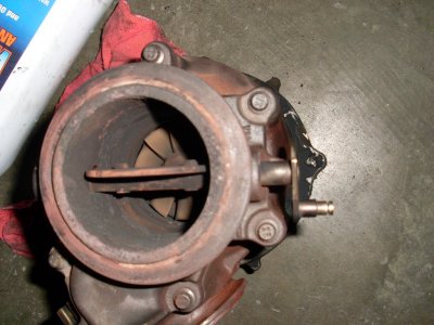 SL372525.JPG