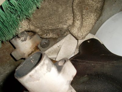 SL372520.JPG