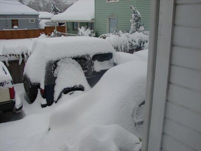 snow 08 002a.JPG