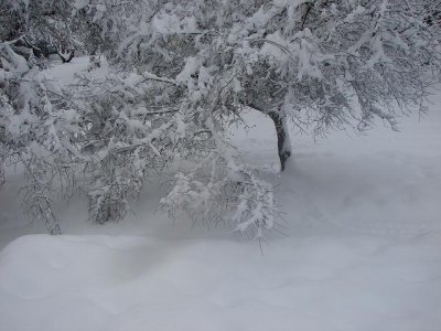 snow 08 003a.JPG