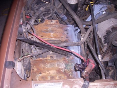 DSCN0726.JPG