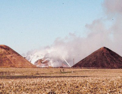 DelphiCobFire122708.jpg