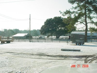 Picture 006.jpg