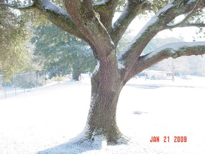 Picture 005.jpg