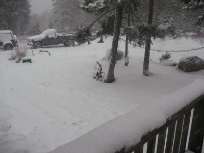 blizzard.jpg