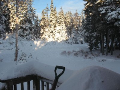 blizzard3.jpg