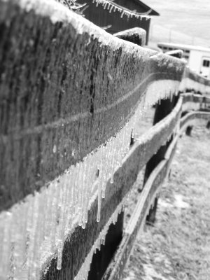 Winter Storm (23).JPG
