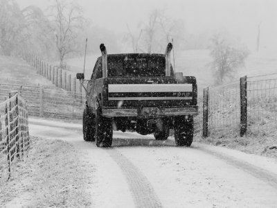 Winter Storm (25).JPG
