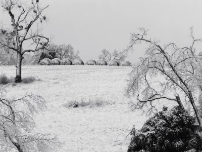 Winter Storm (18).JPG