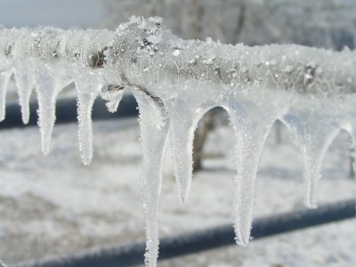 Winter Storm (19).JPG