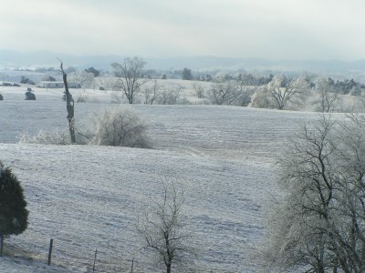 Winter Storm (59).JPG