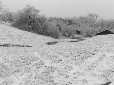 Winter Storm (75).JPG