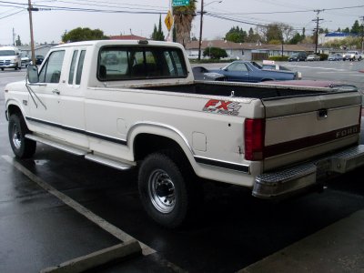 SL373838.JPG