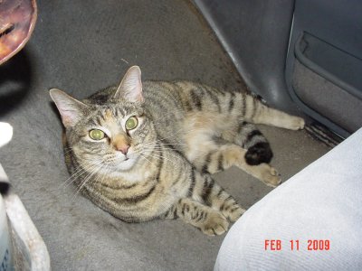 Picture 198.jpg