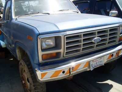 SL374426.JPG