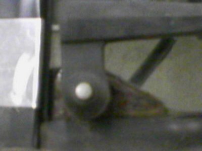 pic22.jpg