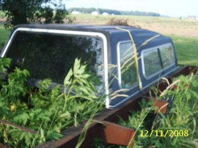 S2010203.JPG