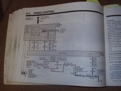 S2010167.JPG