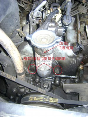 DSC01991 - Edited.jpg