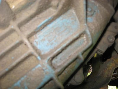 IMG_2312 (Medium).JPG