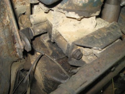 IMG_2313 (Medium).JPG