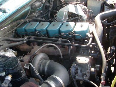 SL376171.JPG