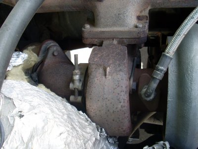 SL376172.JPG