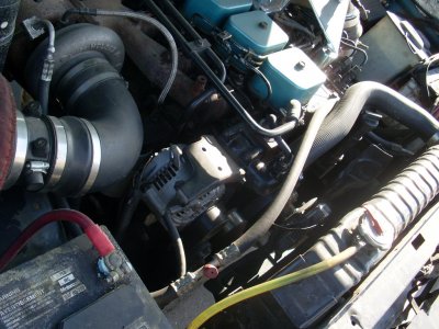 SL376175.JPG