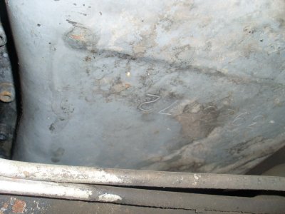 SL376184.JPG