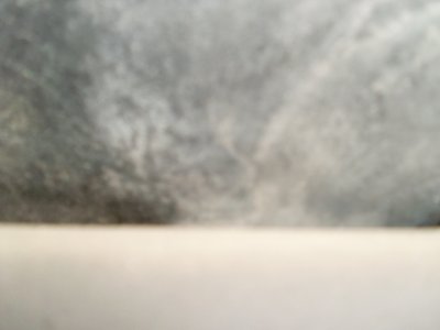 SL376185.JPG