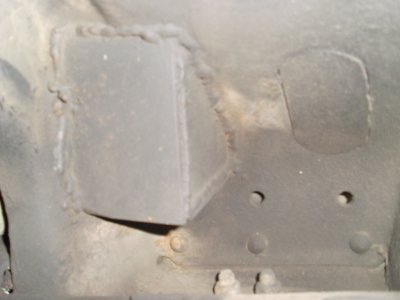 SL376191.JPG