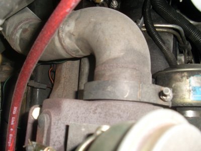 SL376709.JPG