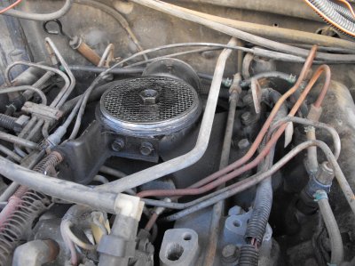diesel filter 054.JPG