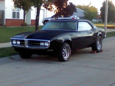 firebird.jpg
