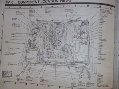 S2010219.JPG
