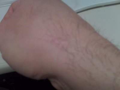 IMG00145.jpg