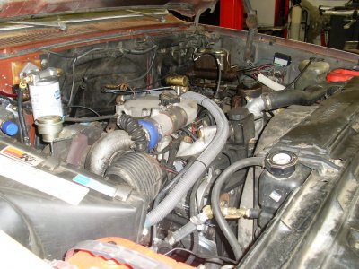 SL376398.JPG