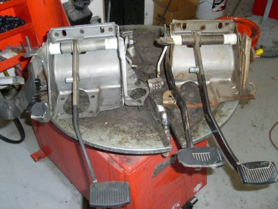 SL379383.JPG