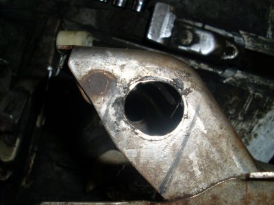SL379388.JPG