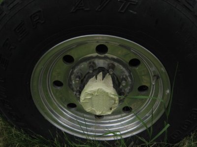 IMG_7571.JPG
