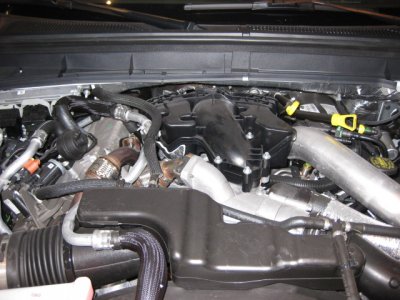 IMG_0239.JPG