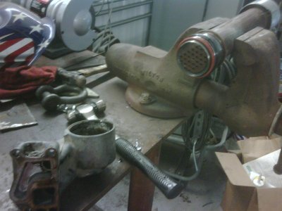 IMG00266-20100727-1850_0781.jpg